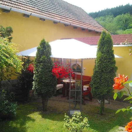 Bed & Breakfast Forras Fogado 3*