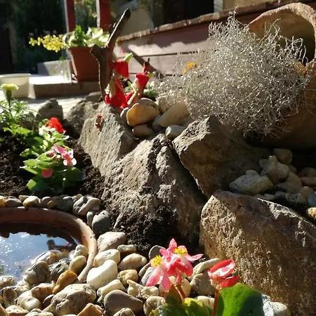 Forras Fogado Bed & Breakfast Bükkszék