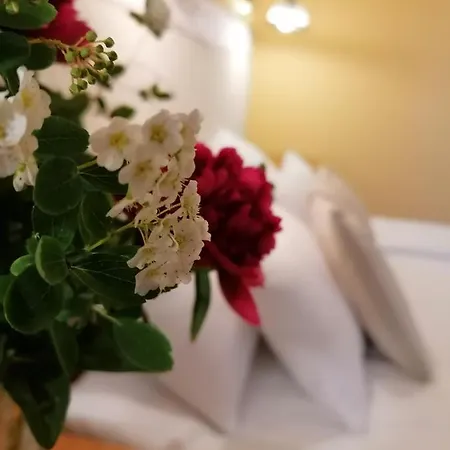 Forras Fogado Couette-café Bükkszék