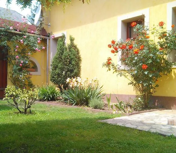 Forrás Bükkszék